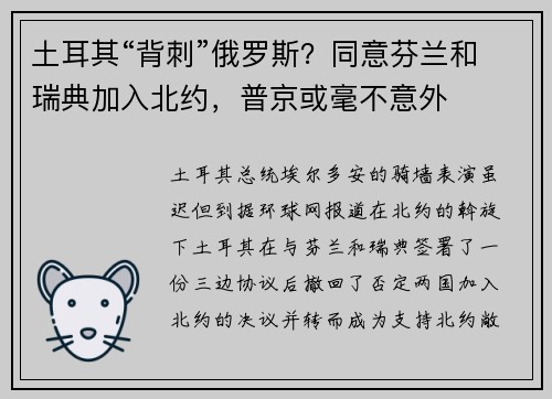 土耳其“背刺”俄罗斯?同意芬兰和瑞典加入北约,普京或毫不意外